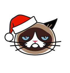 Grumpy Cat In Christmas Hat Isolated On White