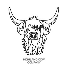 Portrait Of Highland Cattle Cow Outline