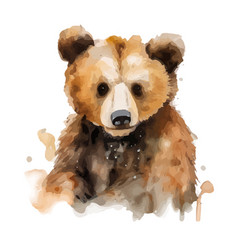 Baby Bear Hand Painted Watercolor Isolated