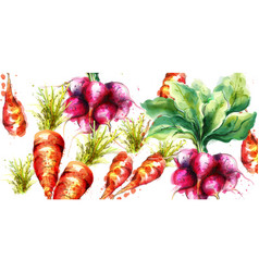 Carrots And Radish Watercolor Fresh Spring