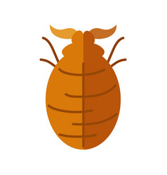 Sowbug Insect Flat Style Icon