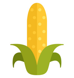 Corn Flat Icon Maize Cob Farm Crop