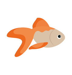 Goldfish Icon Isolated