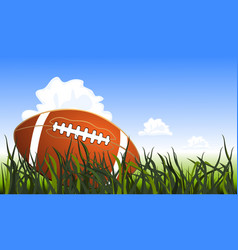 Close Up An American Football On Field