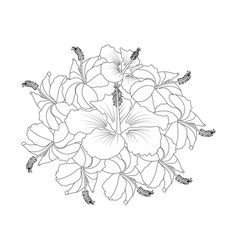 Rose Of Sharon Flower Doodle Art Design