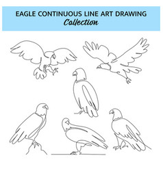 Set Of Eagle One Continuous Line Drawing Cute