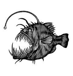 Angler Fish Lophiiformes