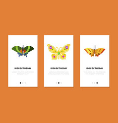 Colorful Butterfly Thin Flat Icon Set