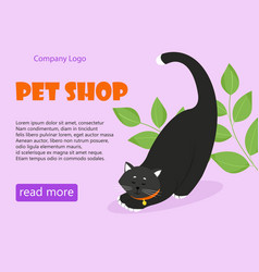 Pet Shop Banner Black Cat With A Collar