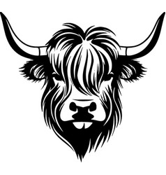 Highland Cow - Black And White