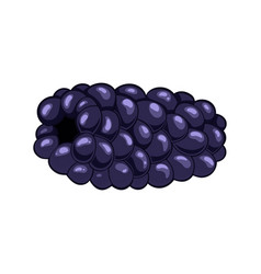 Blackberry Berry Nature Cartoon