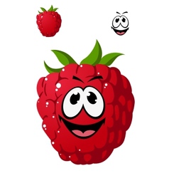 Cartoon Ripe Red Raspberry With A Cheeky Grin