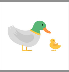 Cute Duck Mother And Child