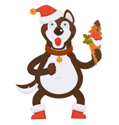 Husky Dog In Collar And Christmas Hat Holds Ice