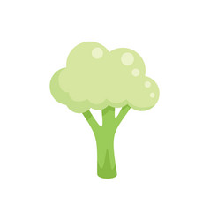 Brocolli Icon Flat Cabbage Food