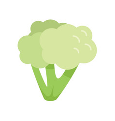 Food Broccoli Icon Flat Plant Salad