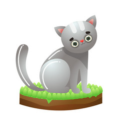 Grey Cat Sitting On Grass