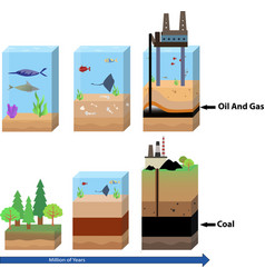 Oil Gas And Coal Formation Process