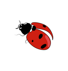 Red Ladybug Line Art