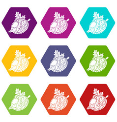 Gooseberry Icons Set 9