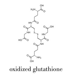 Glutathione Oxidized Gssg Molecule