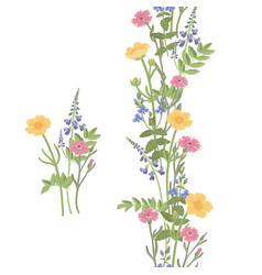 Drawing Wild Flowers