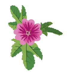 Mauve Flower Malva