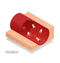 Nanorobots Blood Vessel Isometric Composition