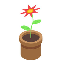 Nursing Home Flower Pot Icon Isometric Style