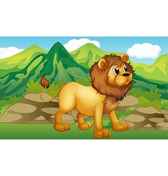 A Lion In Mountain Scenery