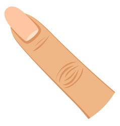 Female Finger Woman Body Part Human Nail