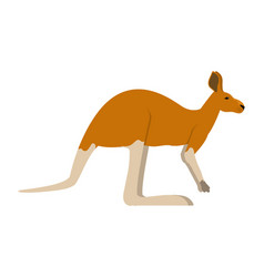 Male Red Kangaroo - Side View Flat