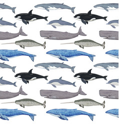 Seamless Pattern With Various Whales Hand-drawn