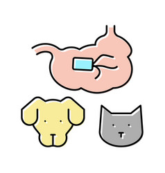 Salmonellosis Dog And Cat Color Icon