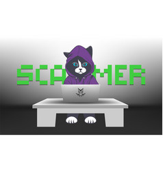 Cat Wearing A Purple Hoodie Scammer