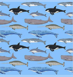 Seamless Pattern With Various Whales Hand-drawn