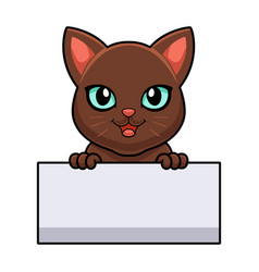 Cute Havana Brown Cat Cartoon Holding Blank Sign