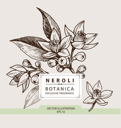 Neroli Flowers Fragrance Oil