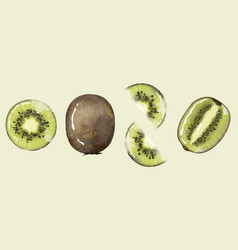 Juicy Green Kiwi On A White Background