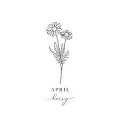 Daisy April Hand Drawn Birth Flowers