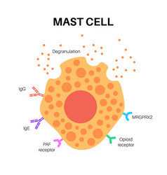 Mast Cell Poster