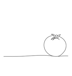 Tomato One Line Drawing