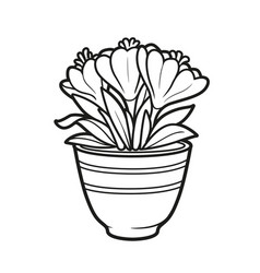 Crocus Flowers Grow In A Pot Coloring Book Linear