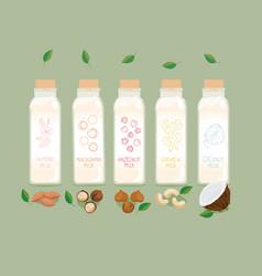 Nuts Milk Set Bottles Plant Based Vegan