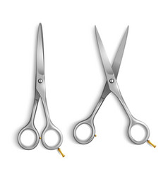 Realistic Metallic Scissors Set