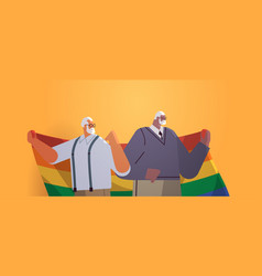 Two Senior Men Holding Lgbt Rainbow Flag Gay