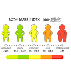 Bmi Concept Body Shapes From Underweight