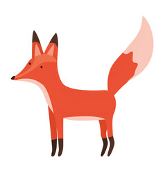 Colored Fox Design