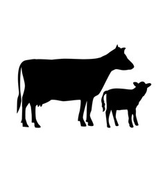 Cow And Calf