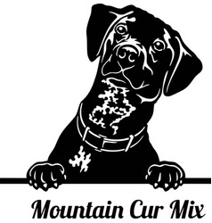 Mountain Cur Mix Peeking Dog - Head Isolated